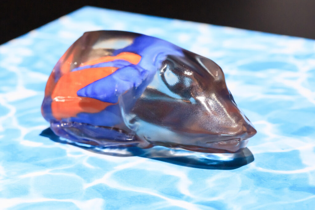 山之内 沙月さん「ホウボウ」 テーマ:音を発する魚