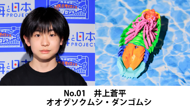 井上蒼平 研究テーマ:オオグソクムシ