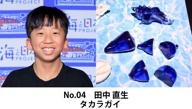 田中直生　研究テーマ：タカラガイ