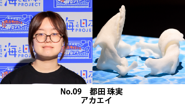 都田珠実　研究テーマ：アカエイ