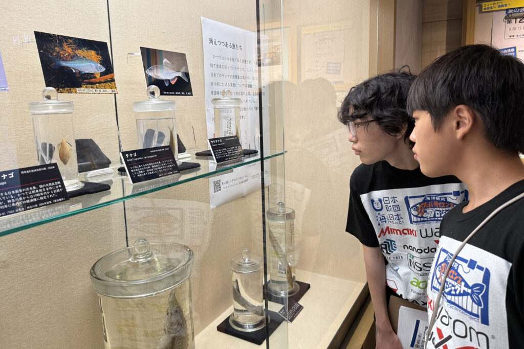 展示中の標本や解説をみつめる研究生の様子