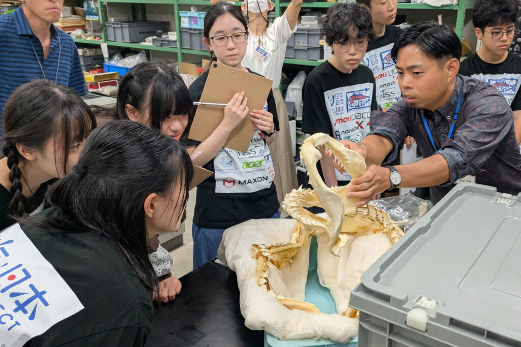 サメの歯の違いを間近で観察する研究生の様子