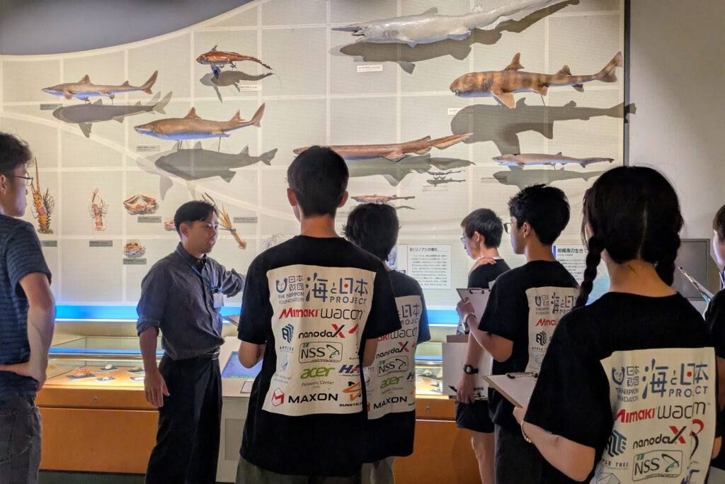 展示室で解説をしてくださった和田学芸員